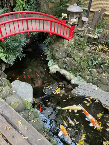 心城院の庭園