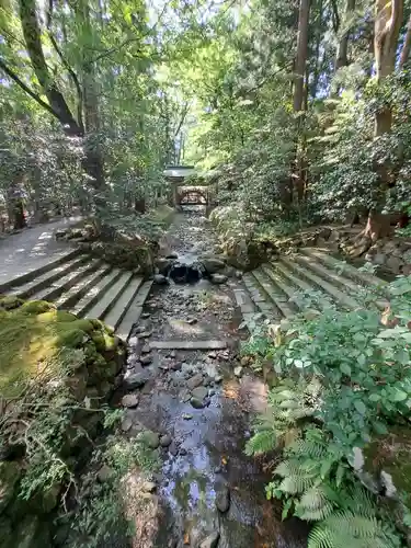 彌彦神社(新潟県)