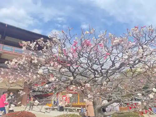 中山寺(兵庫県)