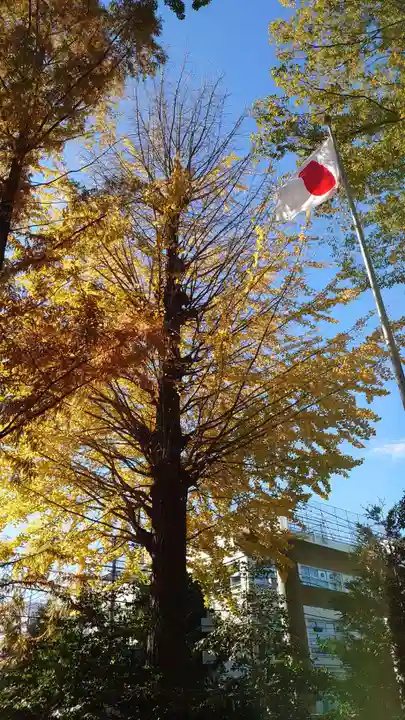 阿佐ヶ谷神明宮の自然