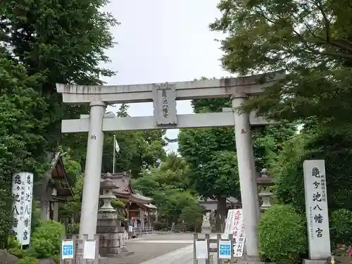 亀ケ池八幡宮の鳥居