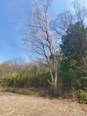 御嶽山神社（里宮）(栃木県)