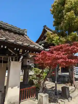 六孫王神社(京都府)