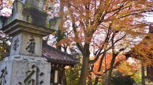 観音寺（山崎聖天）のお墓