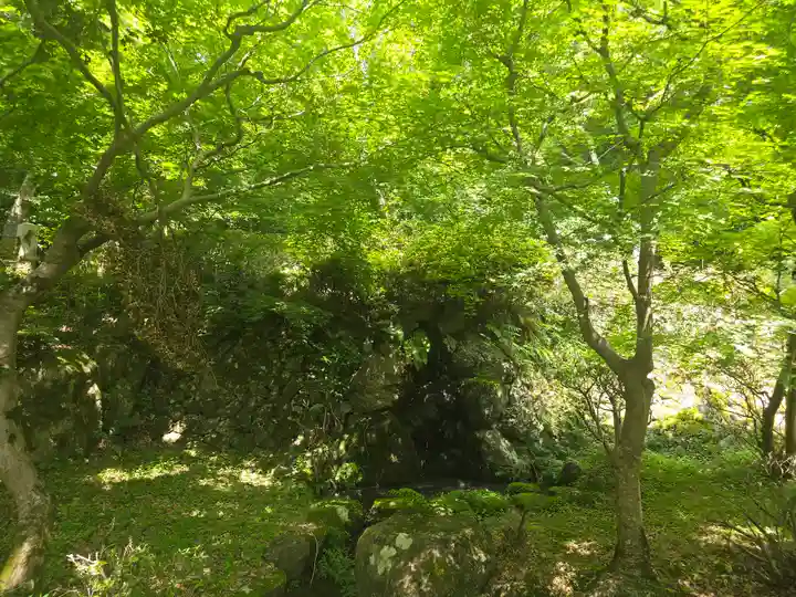 勝持寺(花の寺)(京都府)