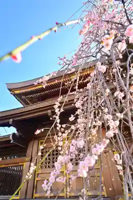 湯島天満宮(東京都)