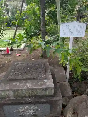 多聞院(東京都)