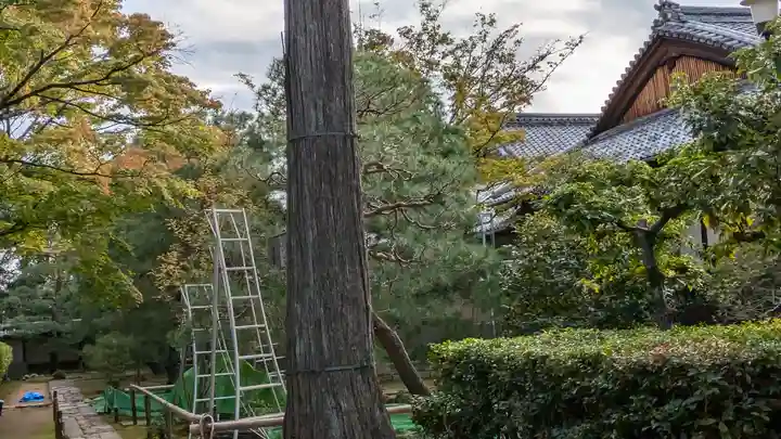 孤篷庵(京都府)