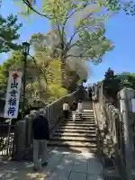 咤枳尼天堂 (出世稲荷)の{uncategorized: "未分類", other: "その他", undefined: "問題あり", building: "その他建物", grave: "お墓", sacred_gate: "鳥居", guardian: "狛犬", statue: "像", buddha: "仏像", history: "歴史", nature: "自然", garden: "庭園", animal: "動物", pagoda: "塔", temizu: "手水舎", mountain_gate: "山門・神門", sanctuary: "本殿・本堂", subordinate: "末社・摂社", art: "芸術", scenery: "景色", jizo: "地蔵", ema: "絵馬", goshuin: "御朱印", omikuji: "おみくじ", items: "授与品その他", amulet: "お守り", goshuincho: "御朱印帳", eats: "食事", festival: "お祭り", votive_dance: "神楽", shichigosan: "七五三参", wedding: "結婚式", experience: "体験その他", initially: "初詣", around: "周辺", anti_infection: "感染症対策"}