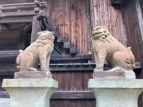 泊神社の狛犬