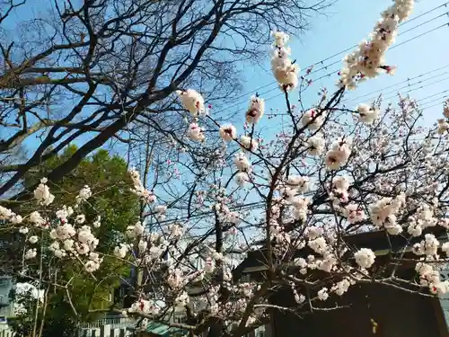 屯倉神社(大阪府)