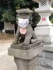 愛宕神社の狛犬