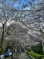 豊葦原神社(熊本県)