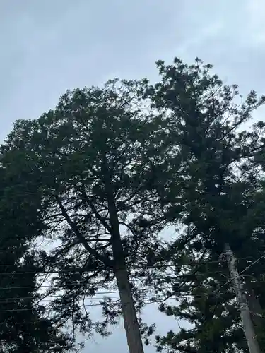 鬼鎮神社(埼玉県)