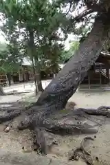 白鳥神社(香川県)