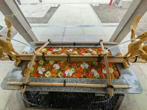 富岡八幡宮(東京都)