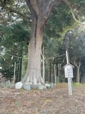 宇都母知神社(神奈川県)