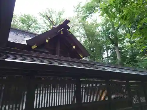 旭川神社の本殿