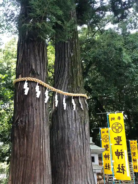 聖神社(埼玉県)
