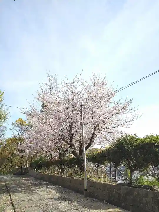 阿智神社の自然