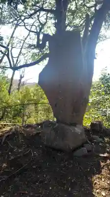 八坂神社(神奈川県)