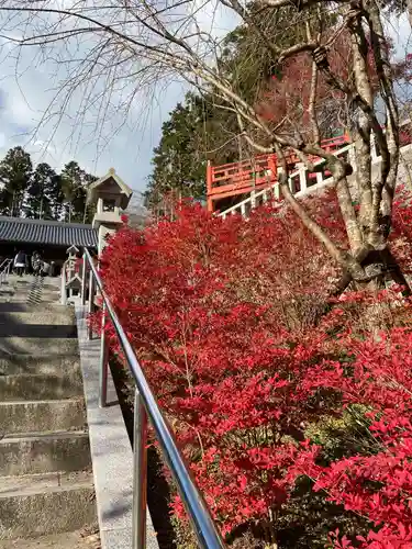 呑山観音寺の自然