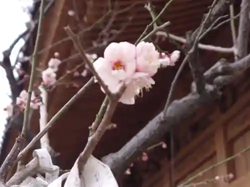 蒲原神社の自然