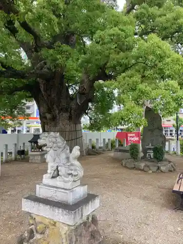 金岡神社の狛犬