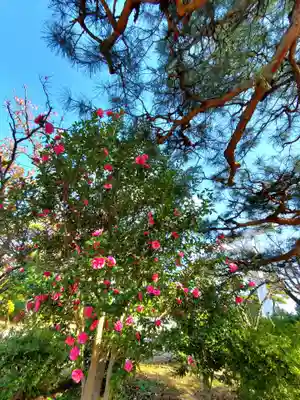 開成山大神宮(福島県)