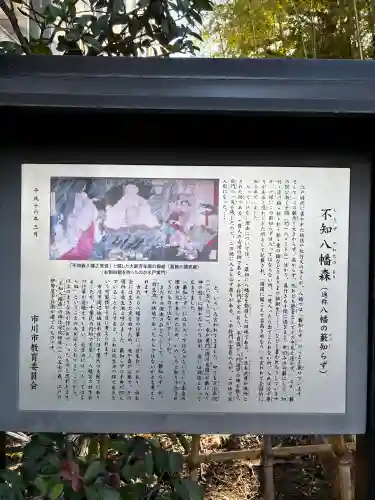 不知森神社の{uncategorized: "未分類", other: "その他", undefined: "問題あり", building: "その他建物", grave: "お墓", sacred_gate: "鳥居", guardian: "狛犬", statue: "像", buddha: "仏像", history: "歴史", nature: "自然", garden: "庭園", animal: "動物", pagoda: "塔", temizu: "手水舎", mountain_gate: "山門・神門", sanctuary: "本殿・本堂", subordinate: "末社・摂社", art: "芸術", scenery: "景色", jizo: "地蔵", ema: "絵馬", goshuin: "御朱印", omikuji: "おみくじ", items: "授与品その他", amulet: "お守り", goshuincho: "御朱印帳", eats: "食事", festival: "お祭り", votive_dance: "神楽", shichigosan: "七五三参", wedding: "結婚式", experience: "体験その他", initially: "初詣", around: "周辺", anti_infection: "感染症対策"}