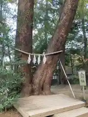 武蔵一宮氷川神社(埼玉県)