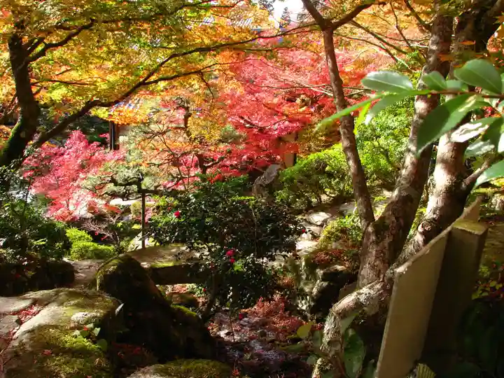 百済寺のその他建物
