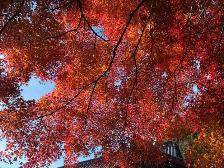 高山寺(兵庫県)