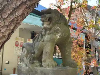鳩森八幡神社の狛犬