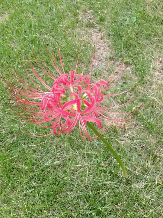 秋月院(神奈川県)