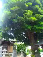 道庭香取神社のその他建物