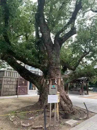 難波神社(大阪府)