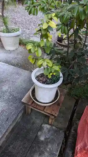 よさこい稲荷神社の庭園