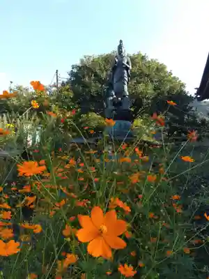 正暦寺(京都府)