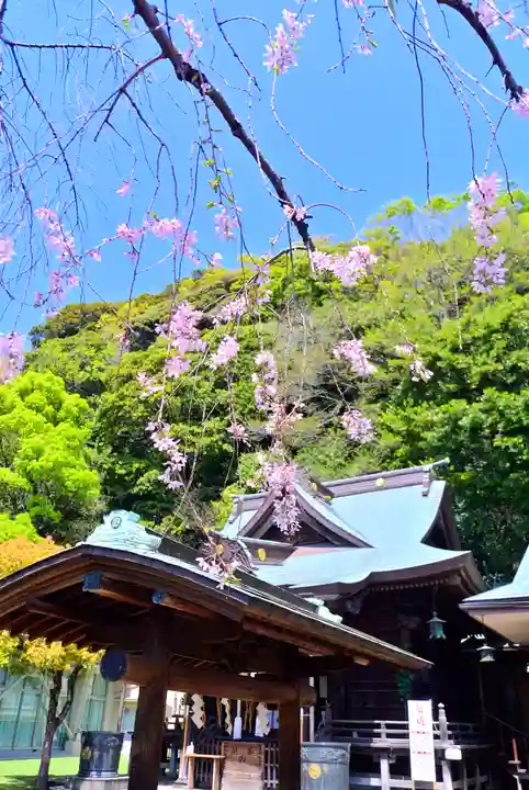 根岸八幡神社(神奈川県)