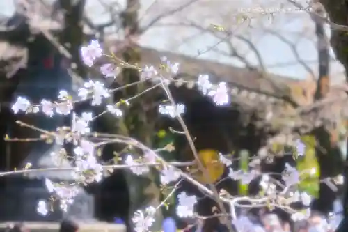 靖國神社(東京都)