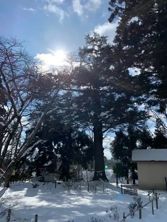 花巻神社の自然