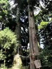 白鳥神社の自然