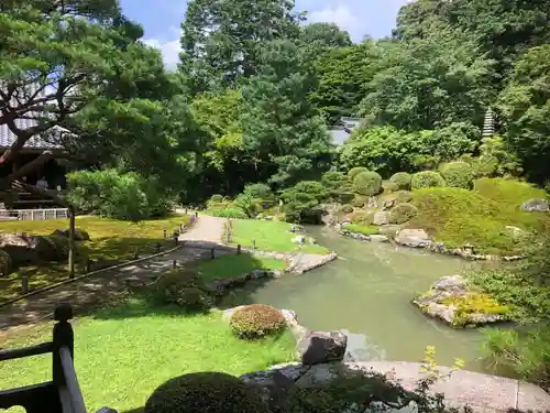 青蓮院門跡の庭園