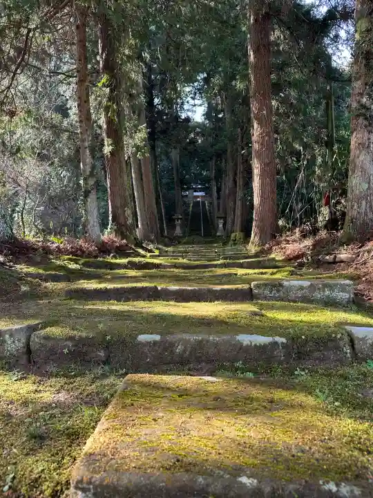 佐為神社の{uncategorized: "未分類", other: "その他", undefined: "問題あり", building: "その他建物", grave: "お墓", sacred_gate: "鳥居", guardian: "狛犬", statue: "像", buddha: "仏像", history: "歴史", nature: "自然", garden: "庭園", animal: "動物", pagoda: "塔", temizu: "手水舎", mountain_gate: "山門・神門", sanctuary: "本殿・本堂", subordinate: "末社・摂社", art: "芸術", scenery: "景色", jizo: "地蔵", ema: "絵馬", goshuin: "御朱印", omikuji: "おみくじ", items: "授与品その他", amulet: "お守り", goshuincho: "御朱印帳", eats: "食事", festival: "お祭り", votive_dance: "神楽", shichigosan: "七五三参", wedding: "結婚式", experience: "体験その他", initially: "初詣", around: "周辺", anti_infection: "感染症対策"}