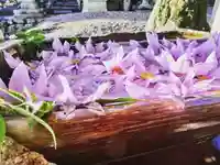 立志神社の手水舎