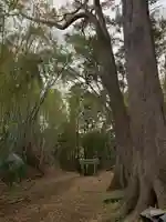 稲荷神社の自然