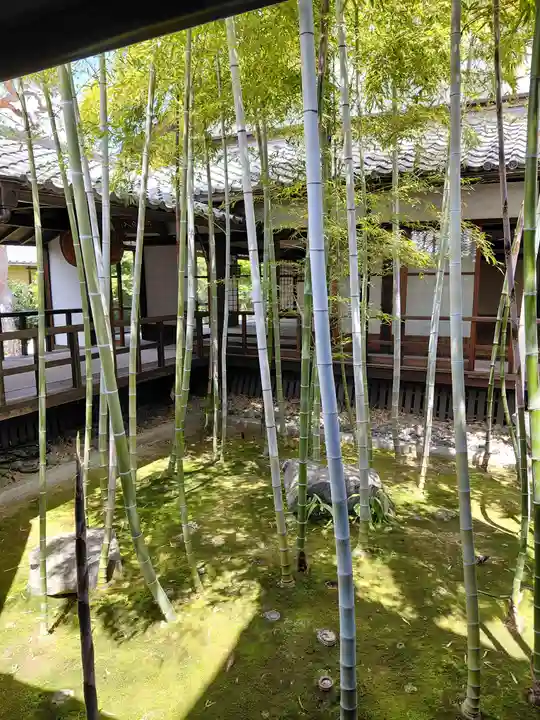 妙顯寺(妙顕寺)(京都府)