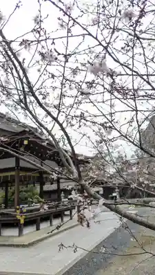 平野神社(京都府)