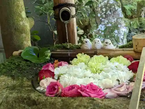 柳谷観音　楊谷寺の手水舎